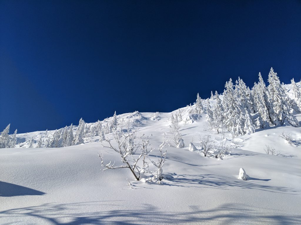 Powder Alert